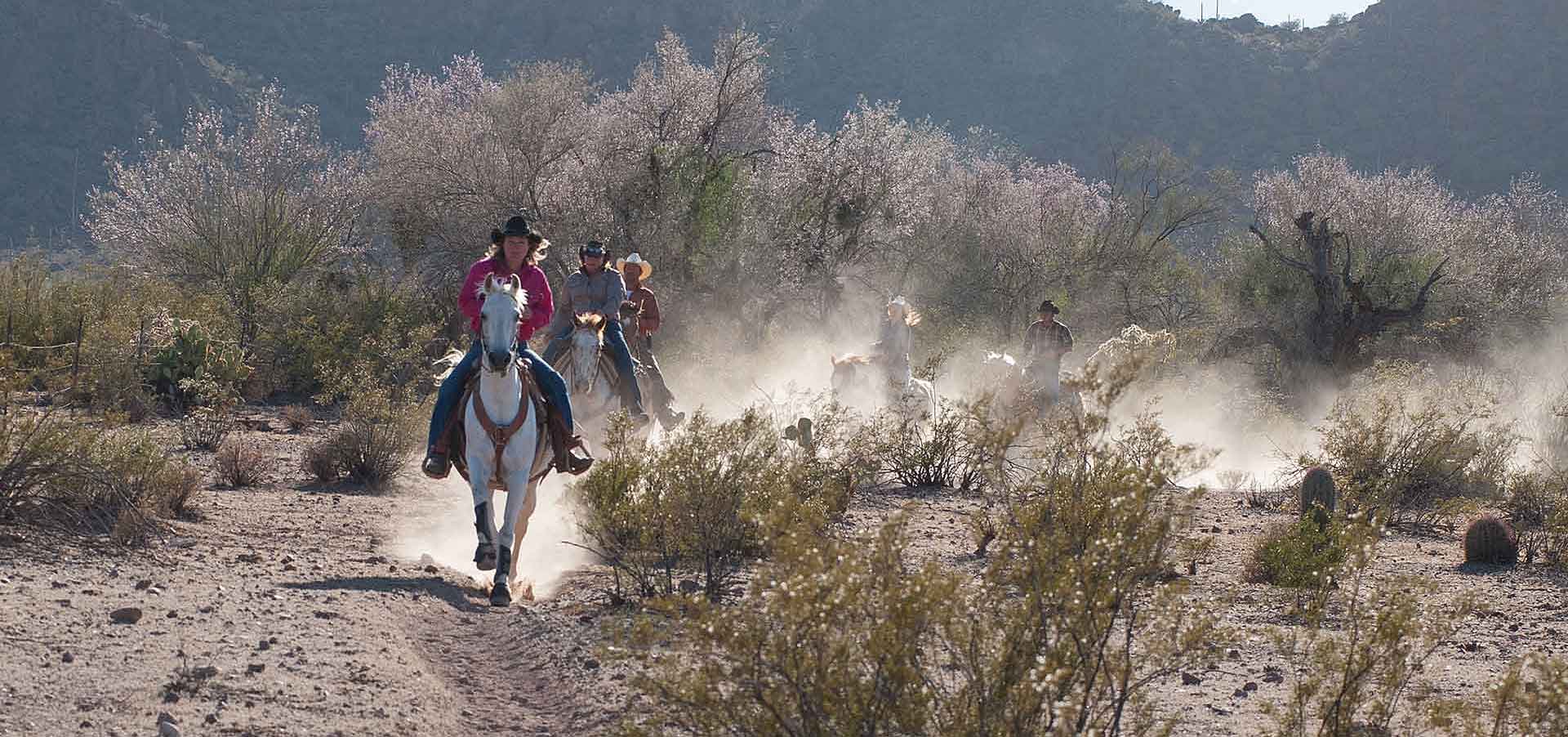 White Stallion Ranch Fast Rides