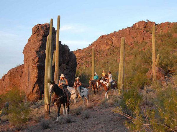 White Stallion Ranch Slow Rides