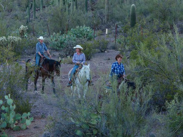 White Stallion Ranch Half Day Rides