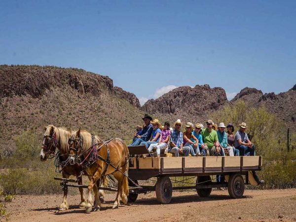 White Stallion Ranch Hayride