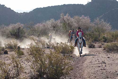 White Stallion Ranch Fast Rides