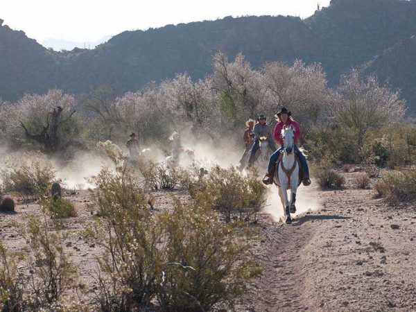 White Stallion Ranch Riding