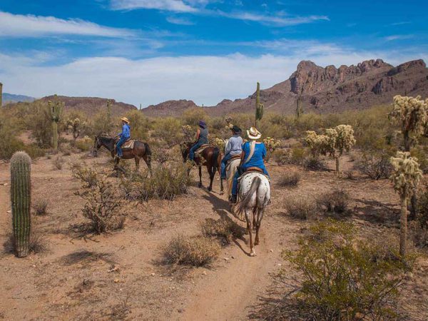 White Stallion Ranch Slow Rides