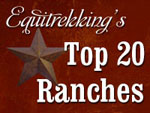 Top 20 Ranches Logo