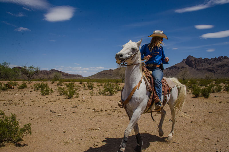 White Stallion Ranch Riding Photo Gallery