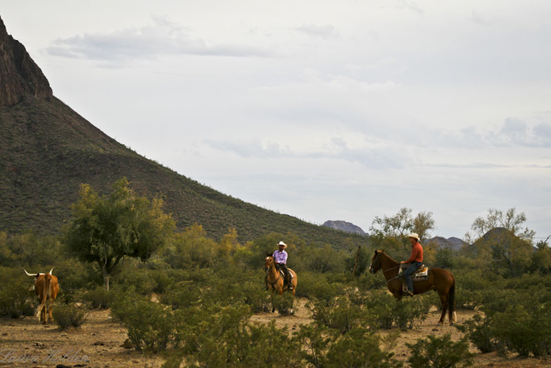 White Stallion Ranch Scenery