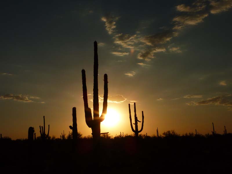 White Stallion Ranch Scenery