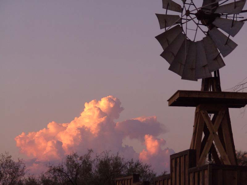 White Stallion Ranch Scenery