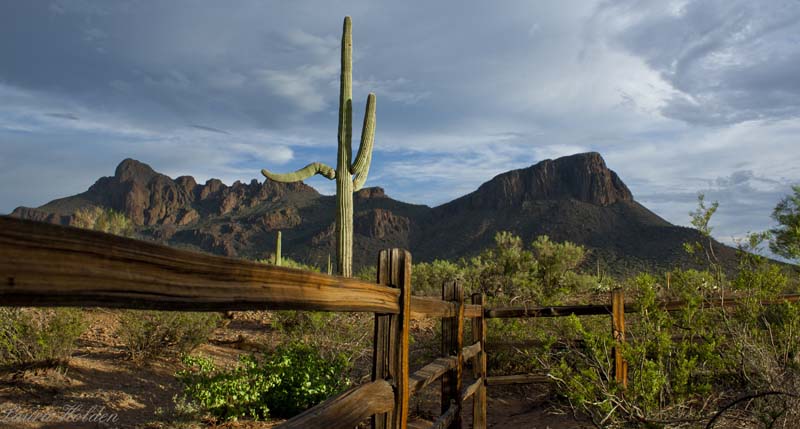 White Stallion Ranch Scenery