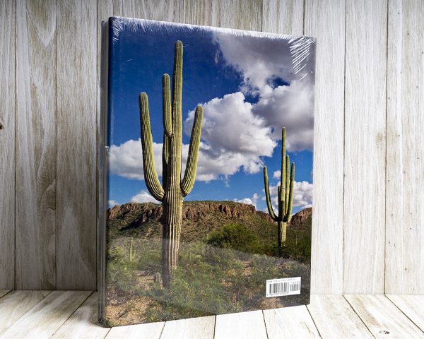 Arizona by Carol Highsmith