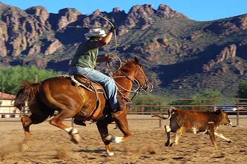 White Stallion Ranch