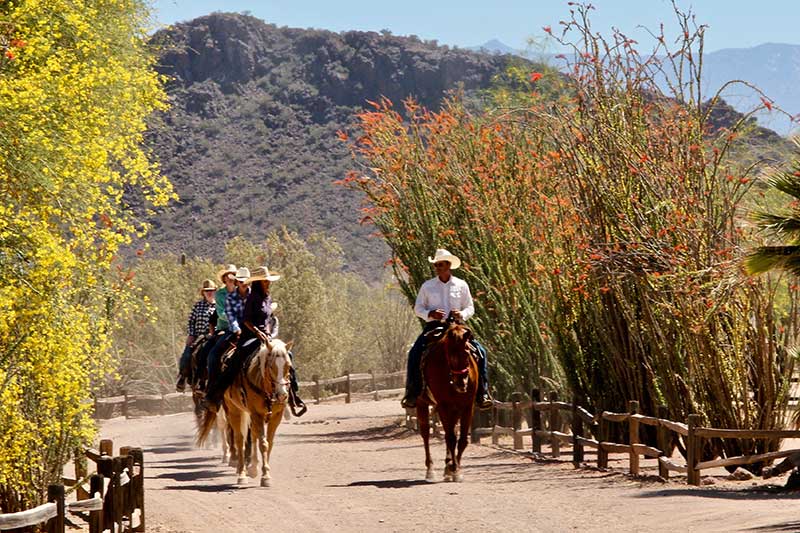 White Stallion Ranch Riding Photo Gallery