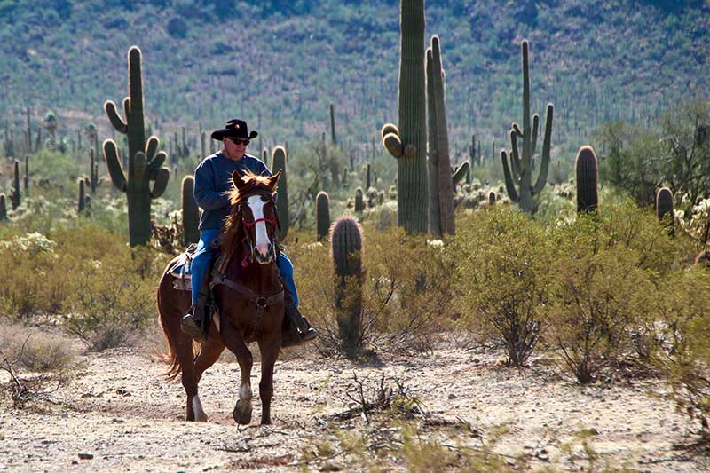 White Stallion Ranch Riding Photo Gallery