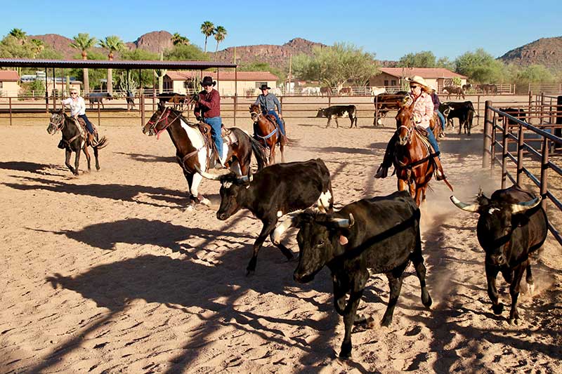 White Stallion Ranch Riding Photo Gallery