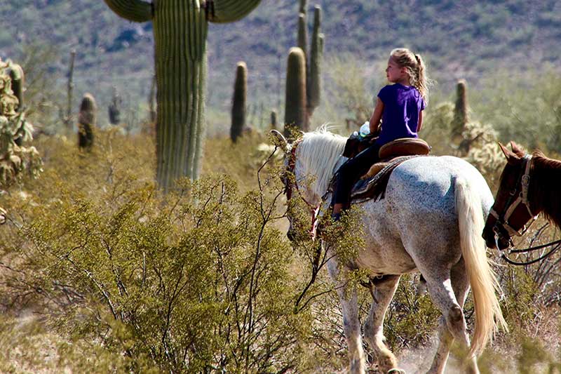 White Stallion Ranch Riding Photo Gallery