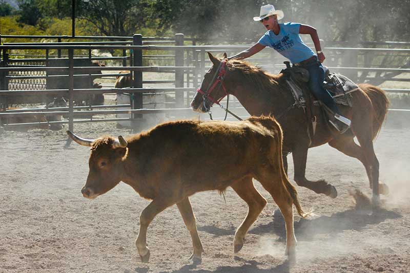 White Stallion Ranch Riding Photo Gallery