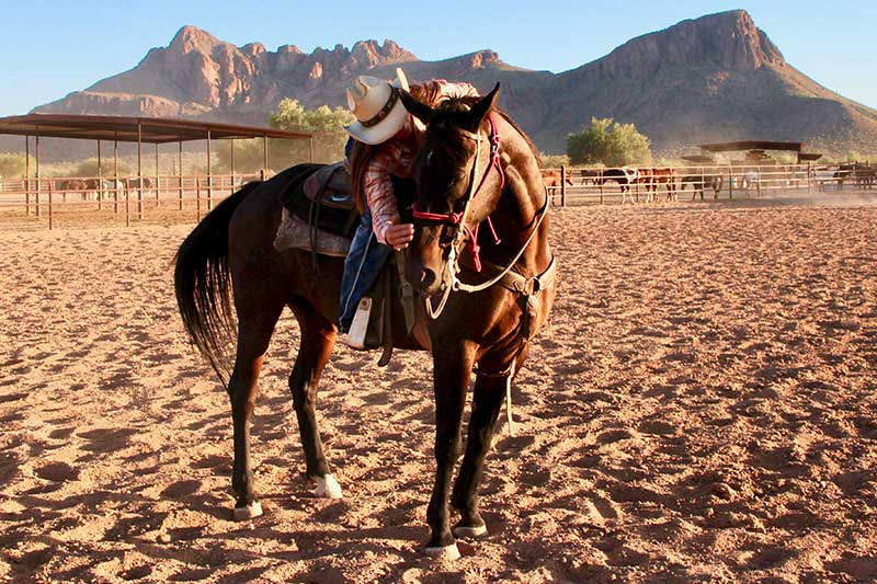 White Stallion Ranch Riding Photo Gallery