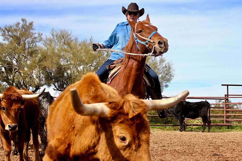 White Stallion Ranch Riding Photo Gallery