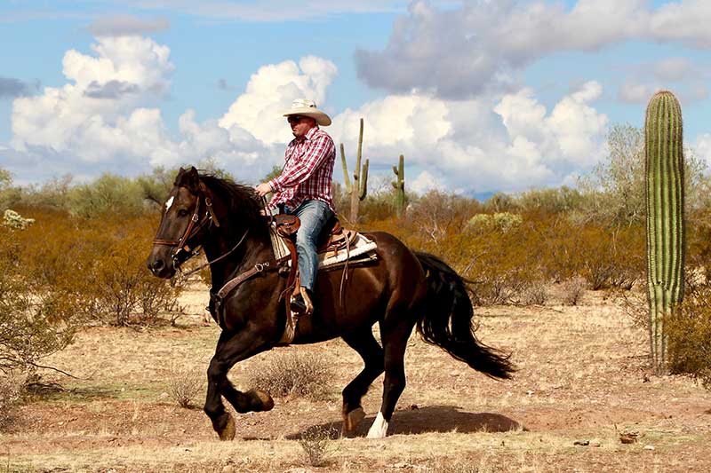 White Stallion Ranch Riding Photo Gallery