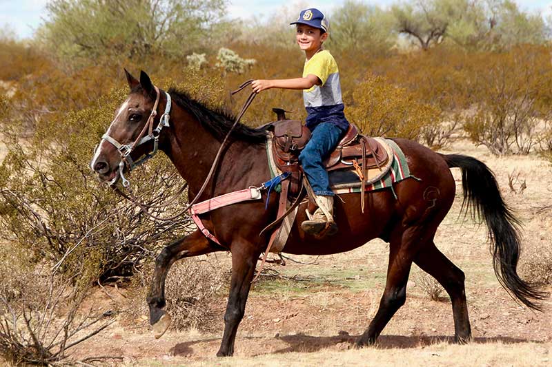 White Stallion Ranch Riding Photo Gallery