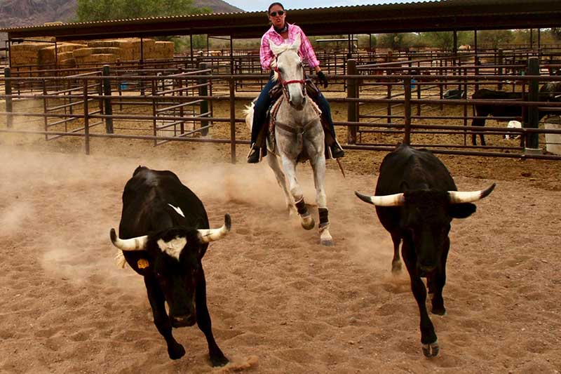 White Stallion Ranch Riding Photo Gallery