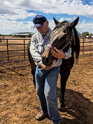 Amarillo - horse of the Month